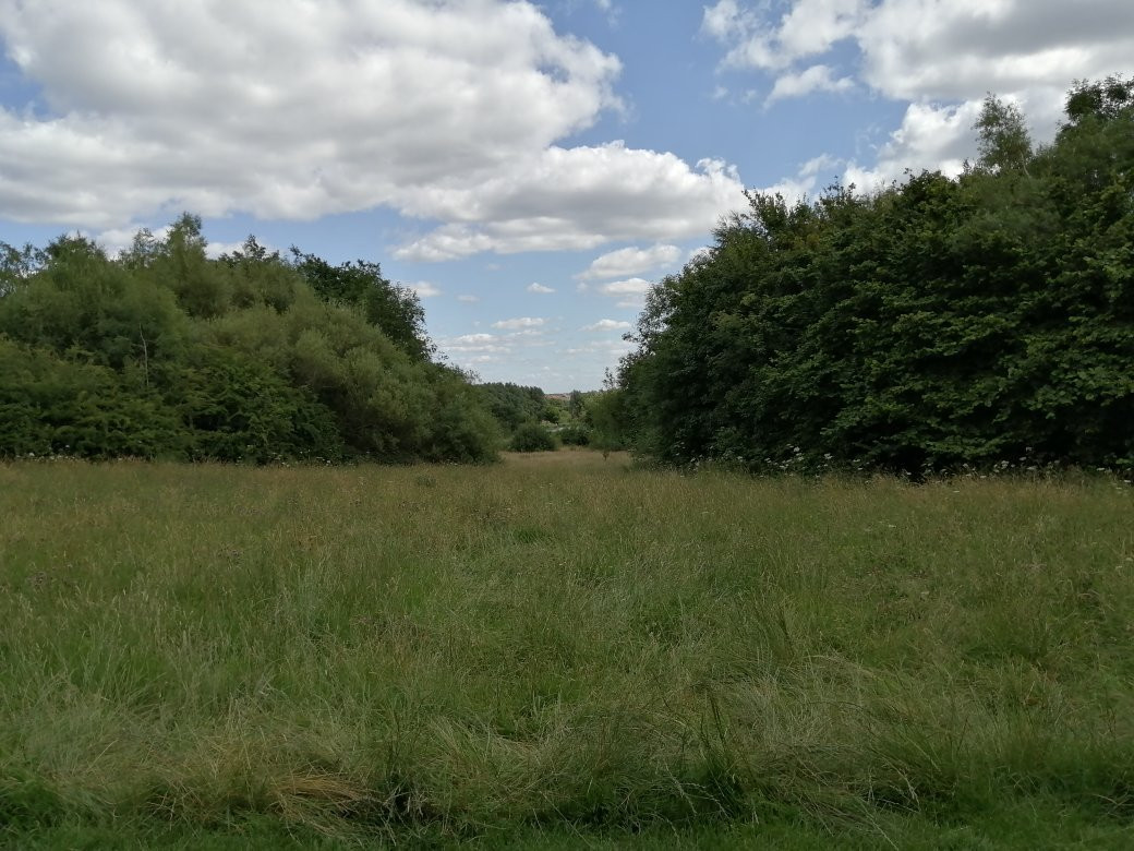 Brierley Forest Park-Sutton in Ashfield必去景点