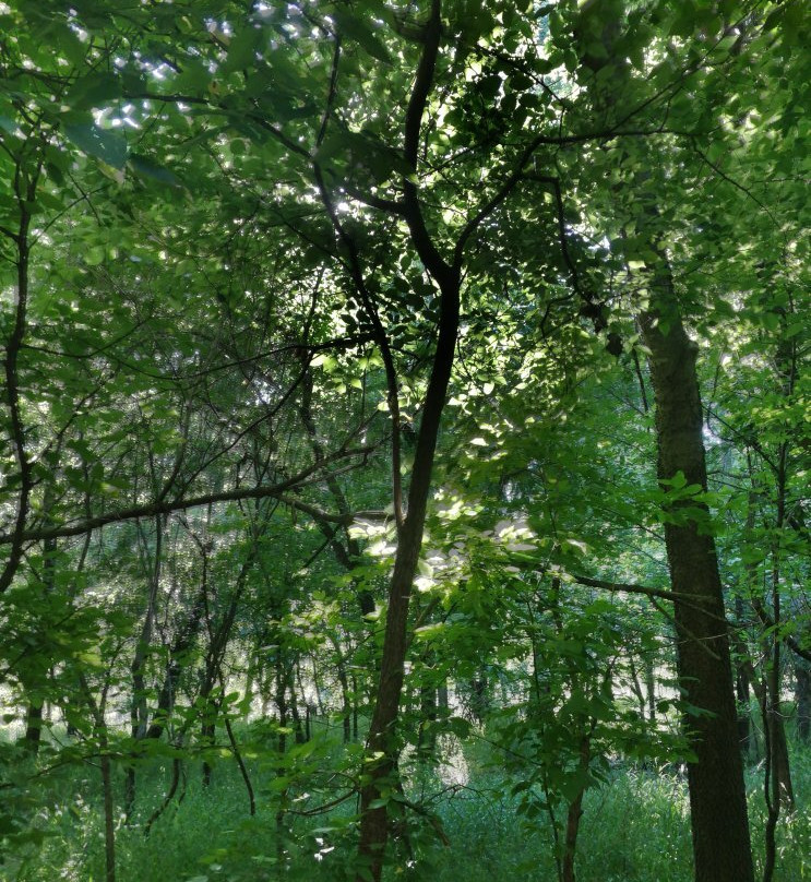 Mohawk Park-塔尔萨必去景点