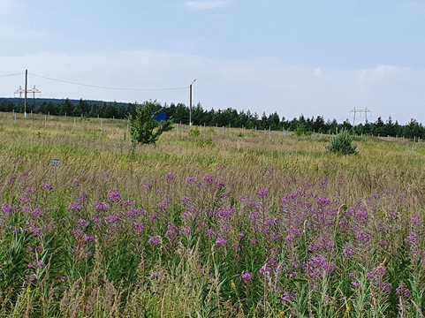 Veshkayma旅游攻略图片