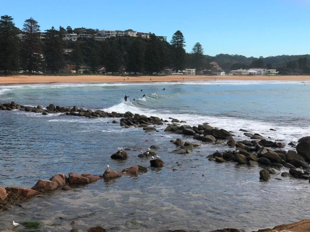 Avoca Beach-特里格尔必去景点
