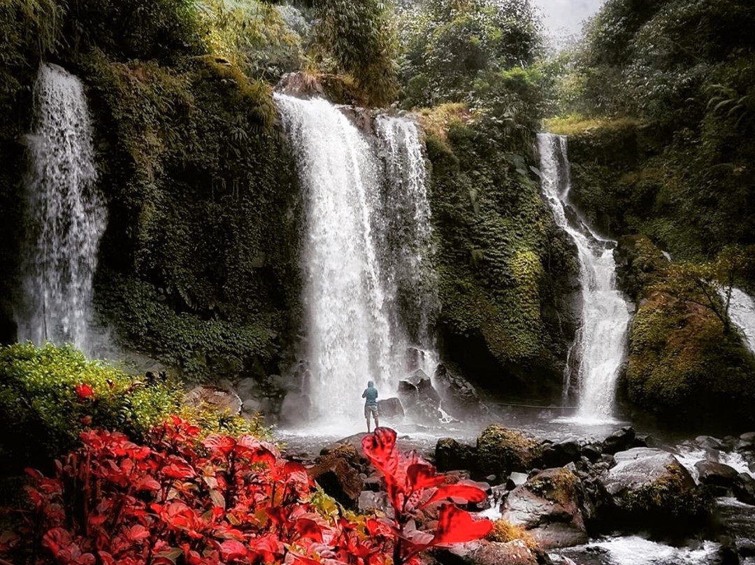 Jenggala Waterfall景点图片