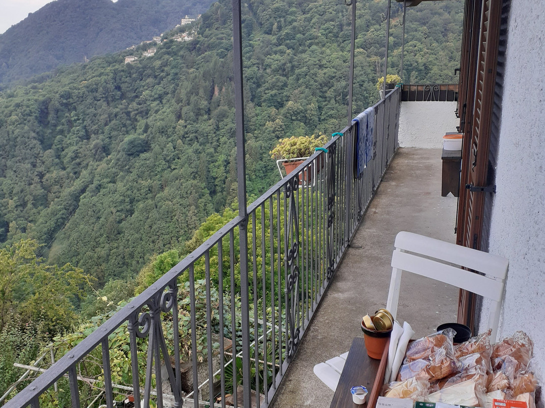 B&B La Locanda del Cinghiale主图