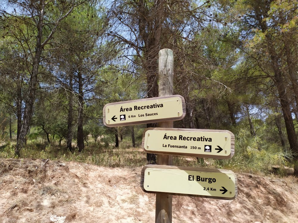 Parque Nacional Sierra De Las Nieves景点图片