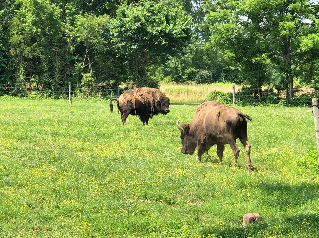Wilderness Road State Park-Ewing必去景点