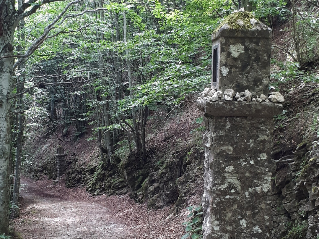 Eremo di Sant'Alberico景点图片