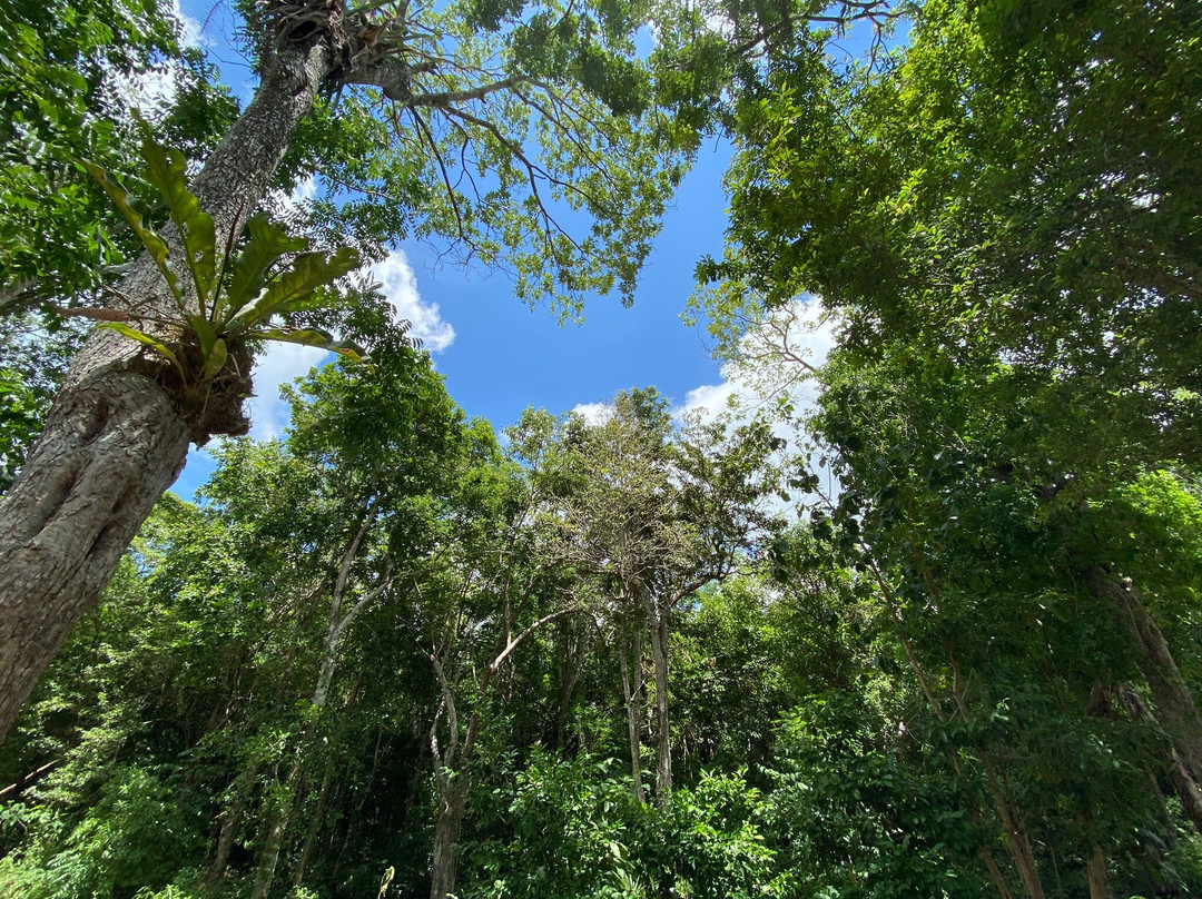 Selva Maya Eco Adventure-图伦必去景点