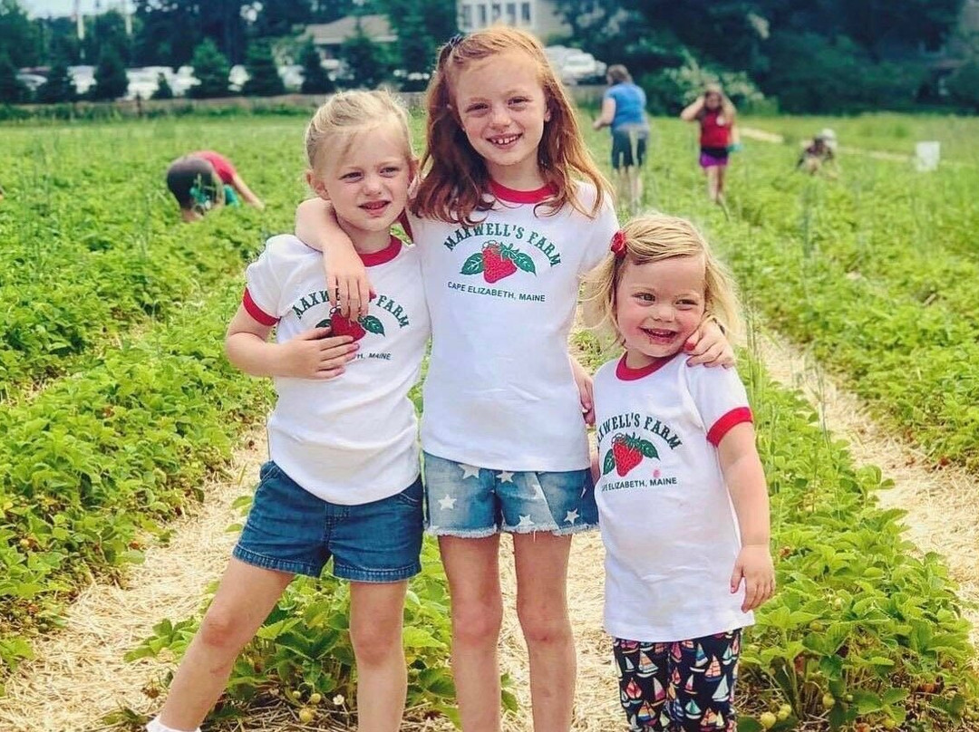 Maxwells Farm-开普伊丽莎白必去景点