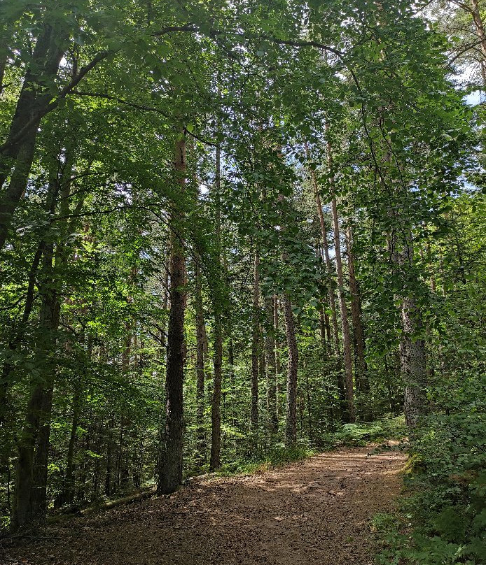 Château du Hohnack-Labaroche必去景点
