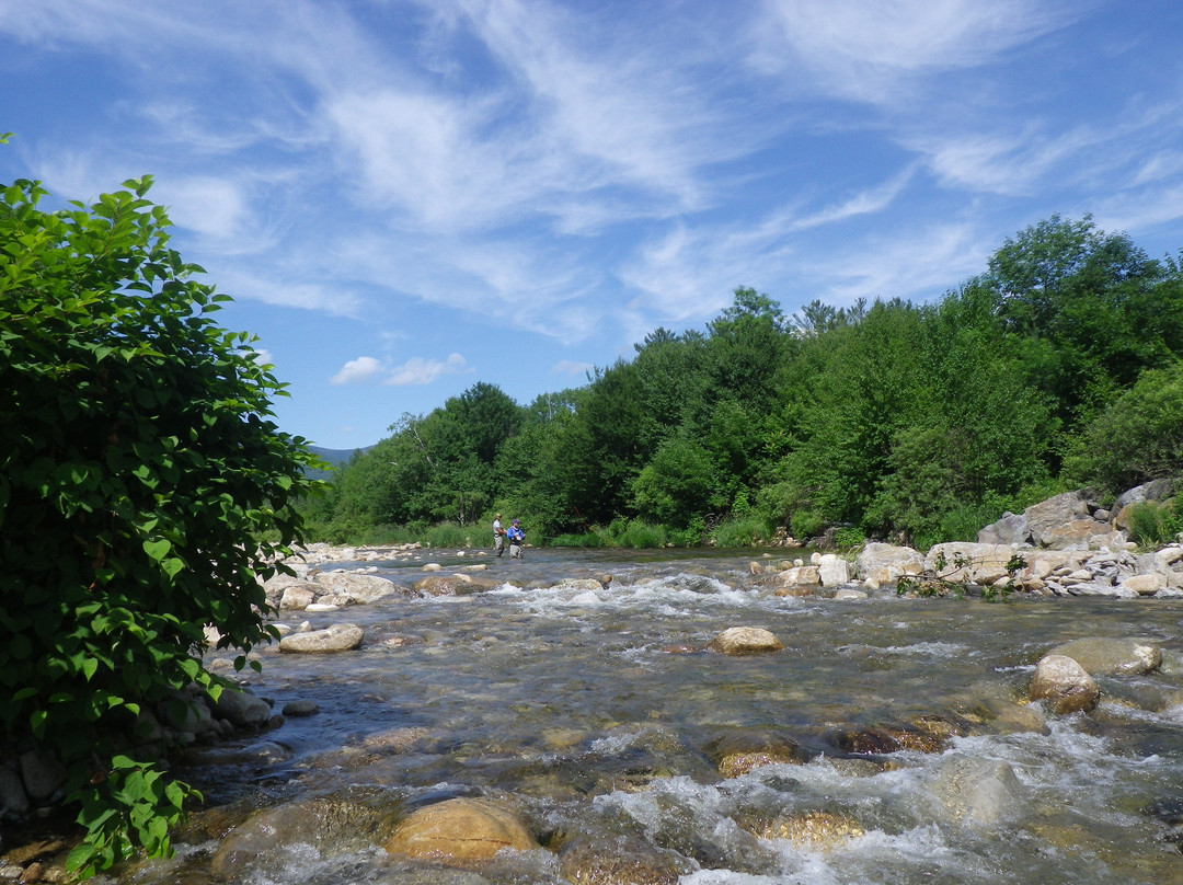 Northeast Fly Fishing School景点图片