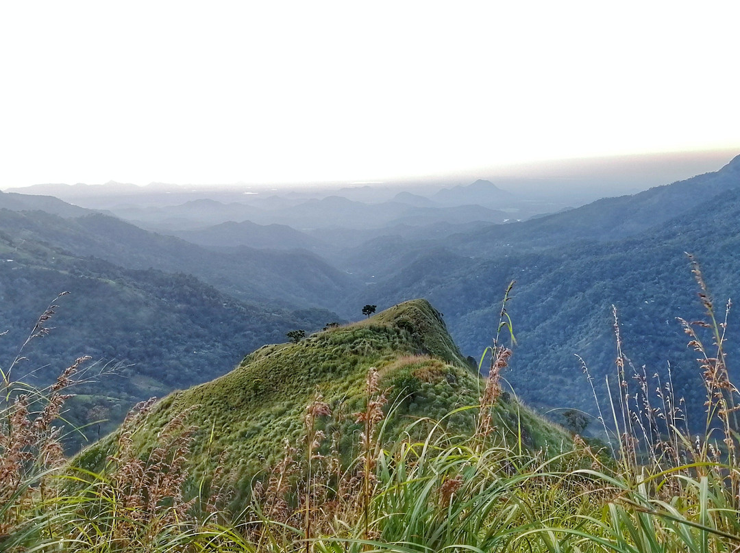 Travelling Thrills-埃勒必去景点
