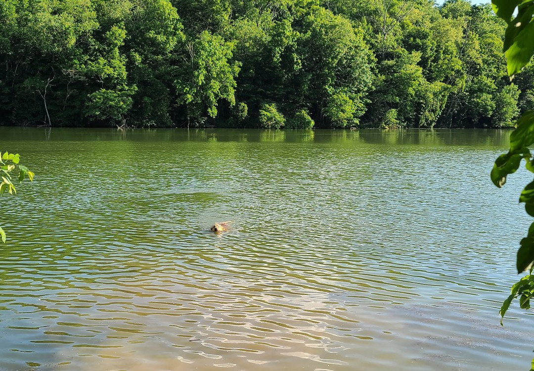 Peters Lake Park-Canonsburg必去景点