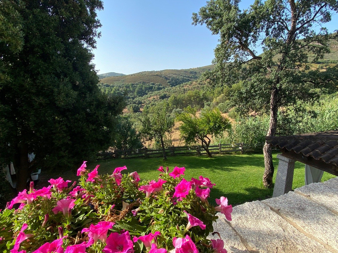 B&B Il Giardino Di Daniela主图