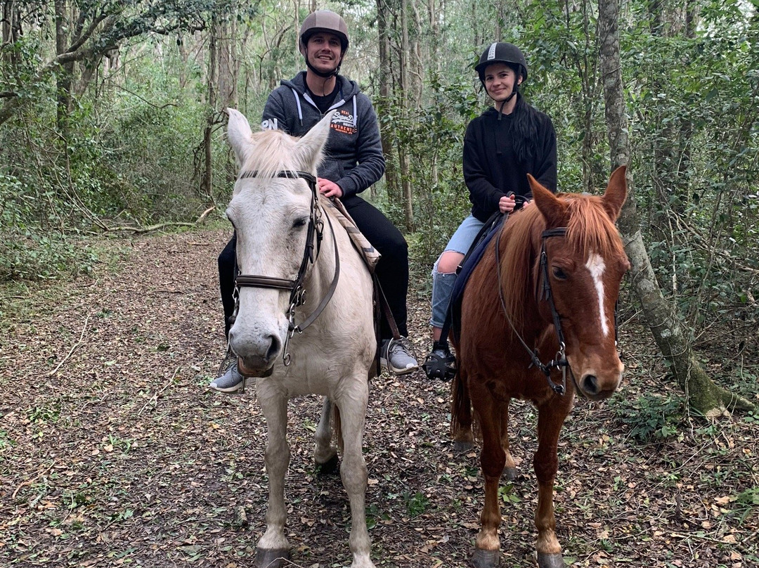 Perdepoort Horse Tails-荒野必去景点