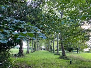 Chateau de Fontnoble主图