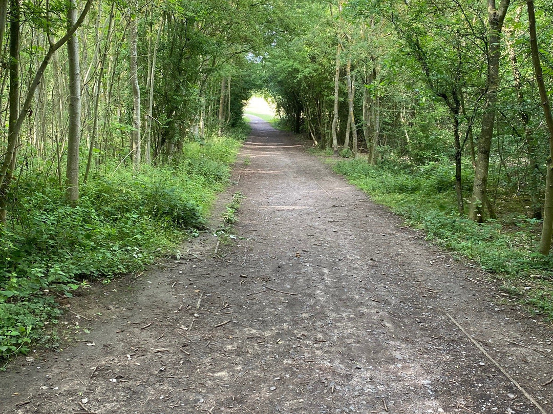 Davy Down Country Park景点图片