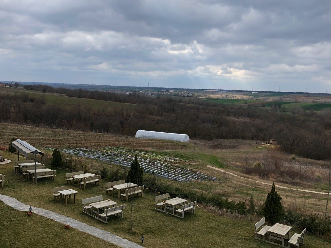 Bakucha Vineyard Hotel主图