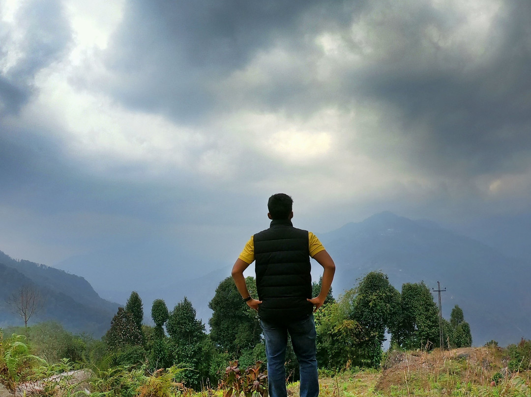 Wild Flower Retreat主图