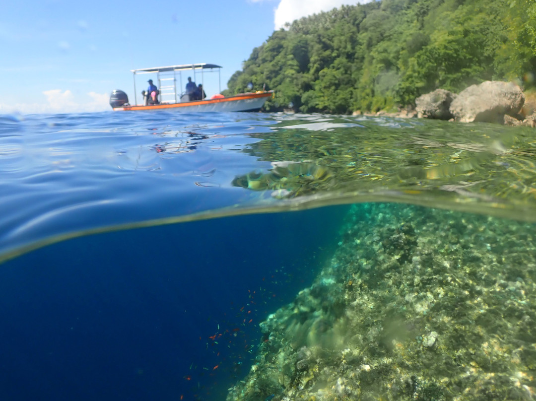 Rabaul Dive Adventures-Kokopo必去景点