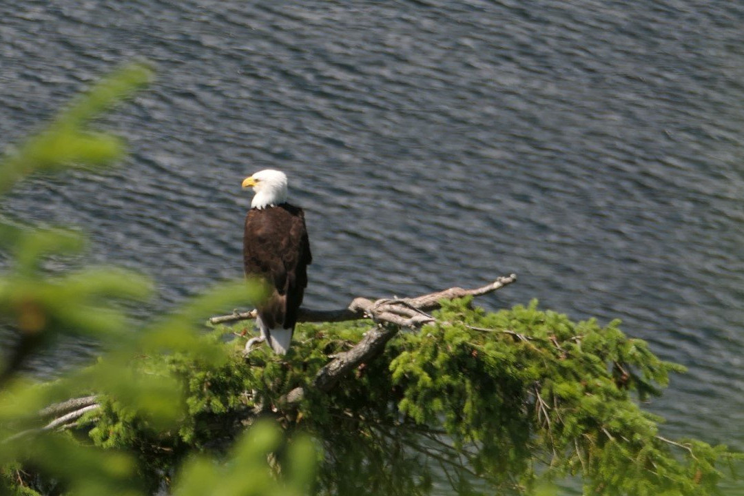 Boyle Point Provincial Park景点图片