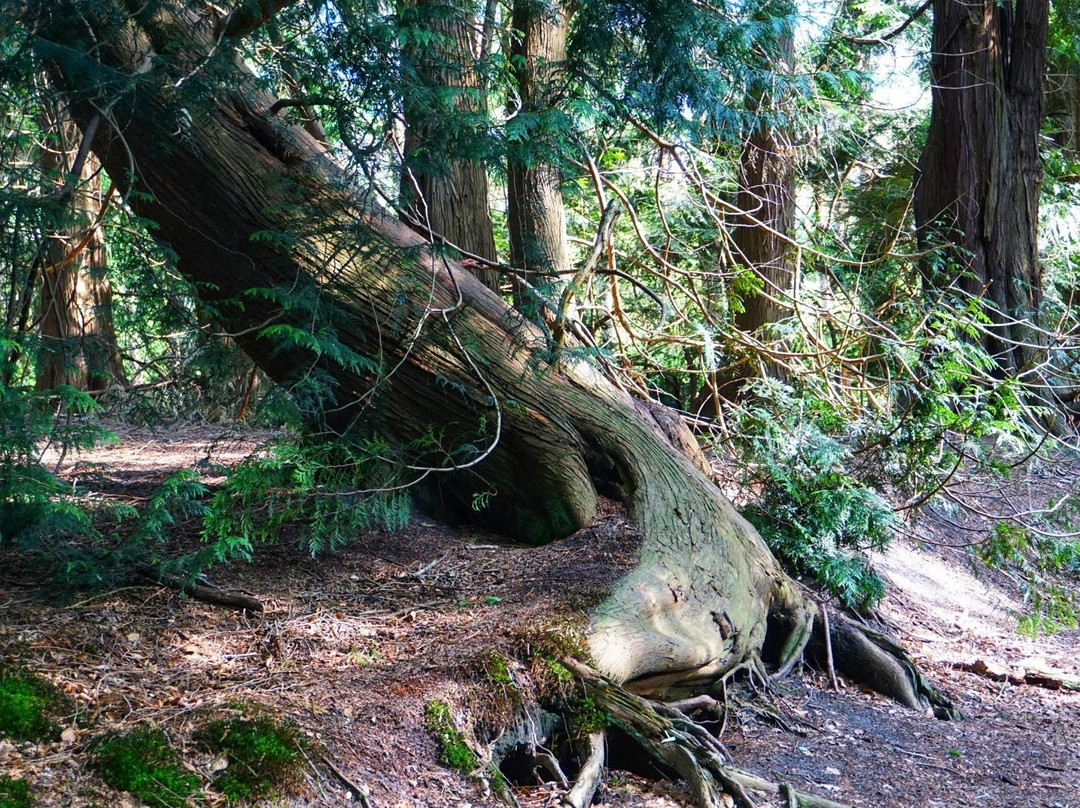 Zandenbos-Nunspeet必去景点