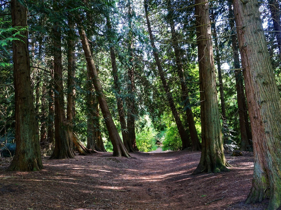 Zandenbos-Nunspeet必去景点