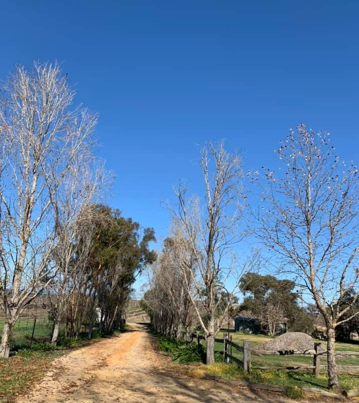 葡萄园汽车旅馆主图