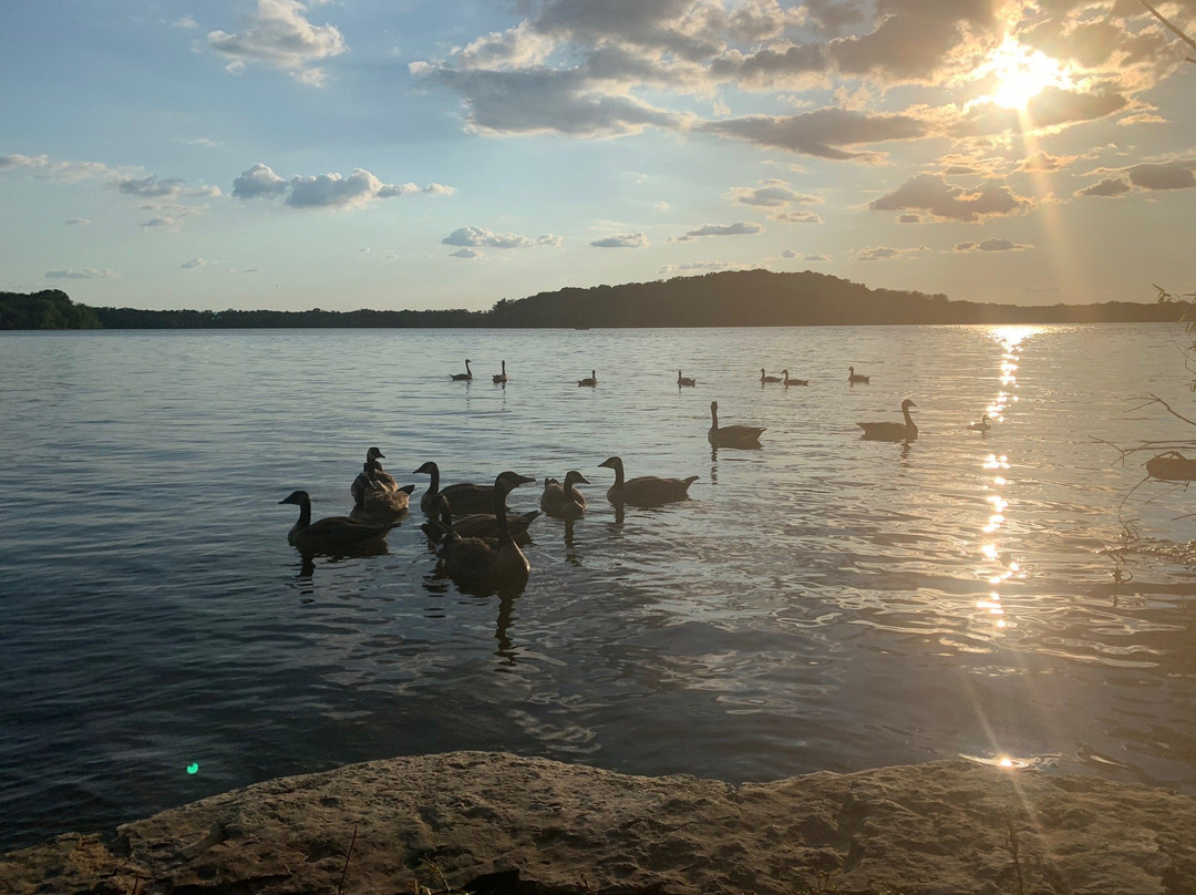 Poole Knobs Campground