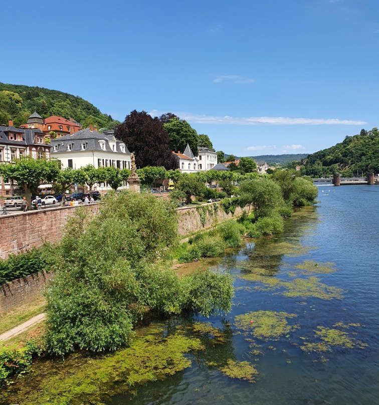 Neckar River-海德尔堡必去景点