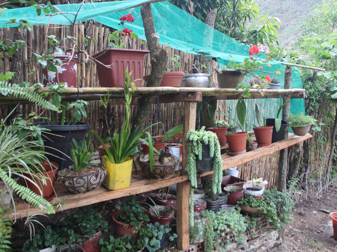 Hotel Utcubamba River Lodge主图