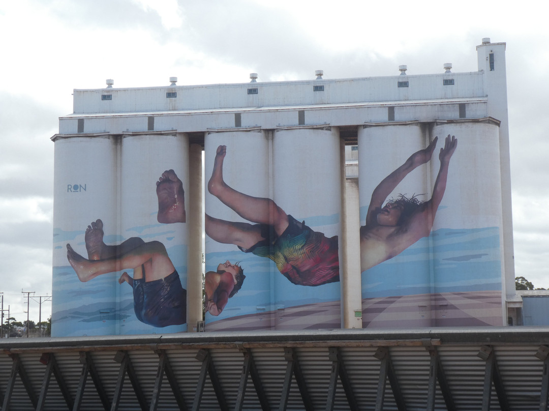 Tumby Bay Silo Art景点图片