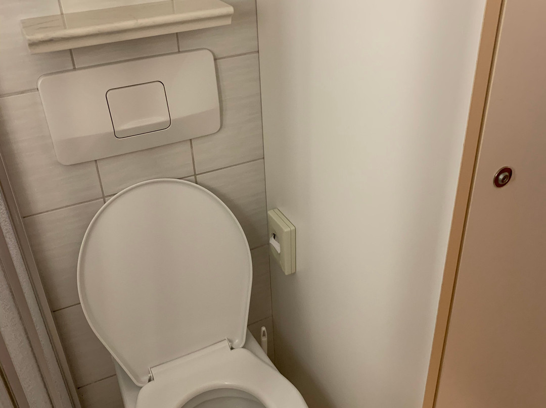 Hotel Swiss Holiday Park主图