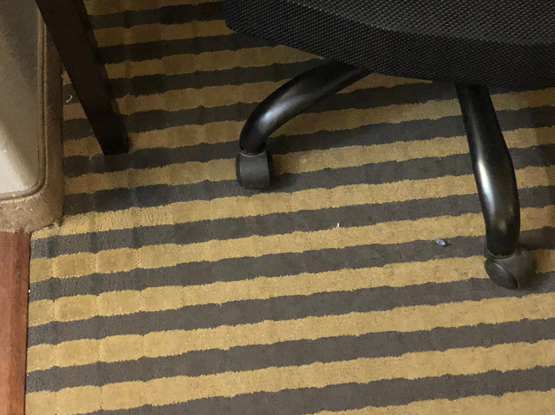 Super 8 by Wyndham Carthage TX主图