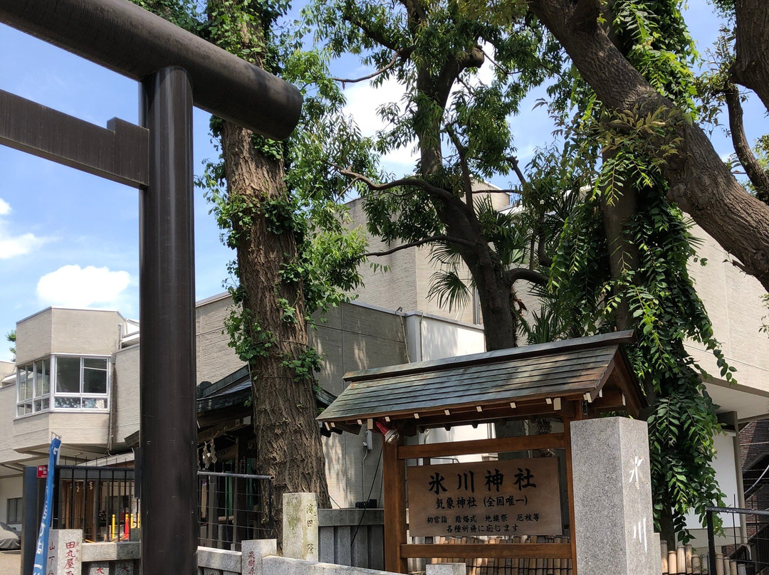 氷川神社-杉并区必去景点