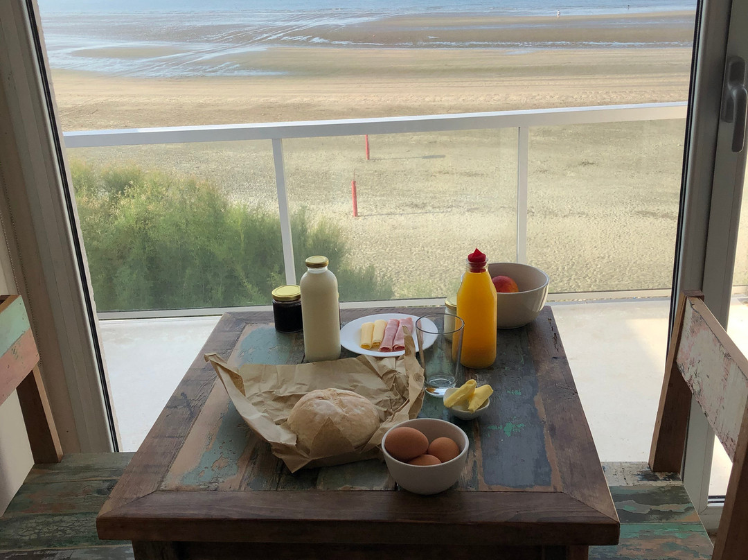 Océano Patagonia主图