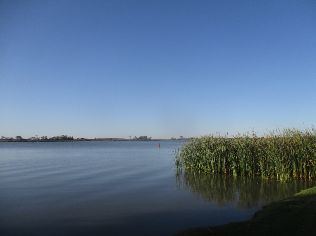 Lake Cullulleraine景点图片