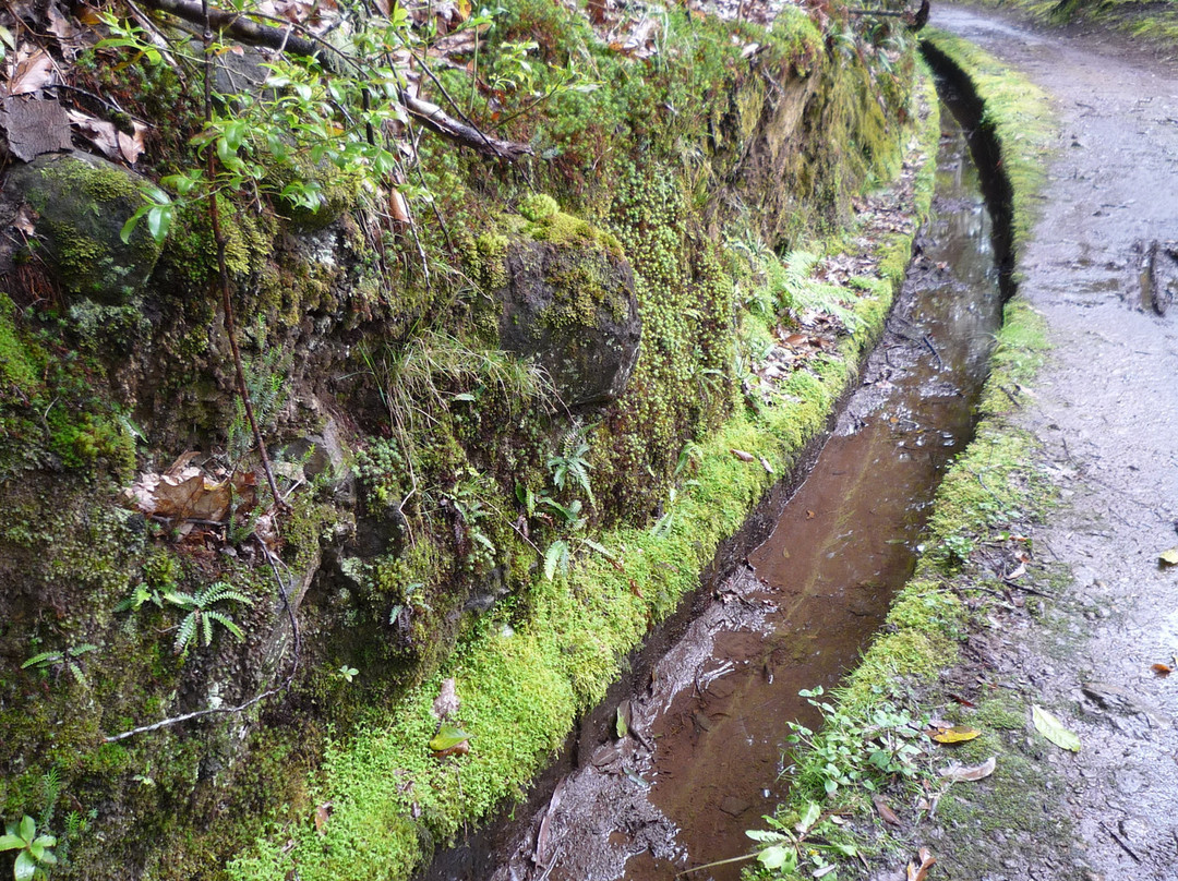 Madeira with Linda景点图片