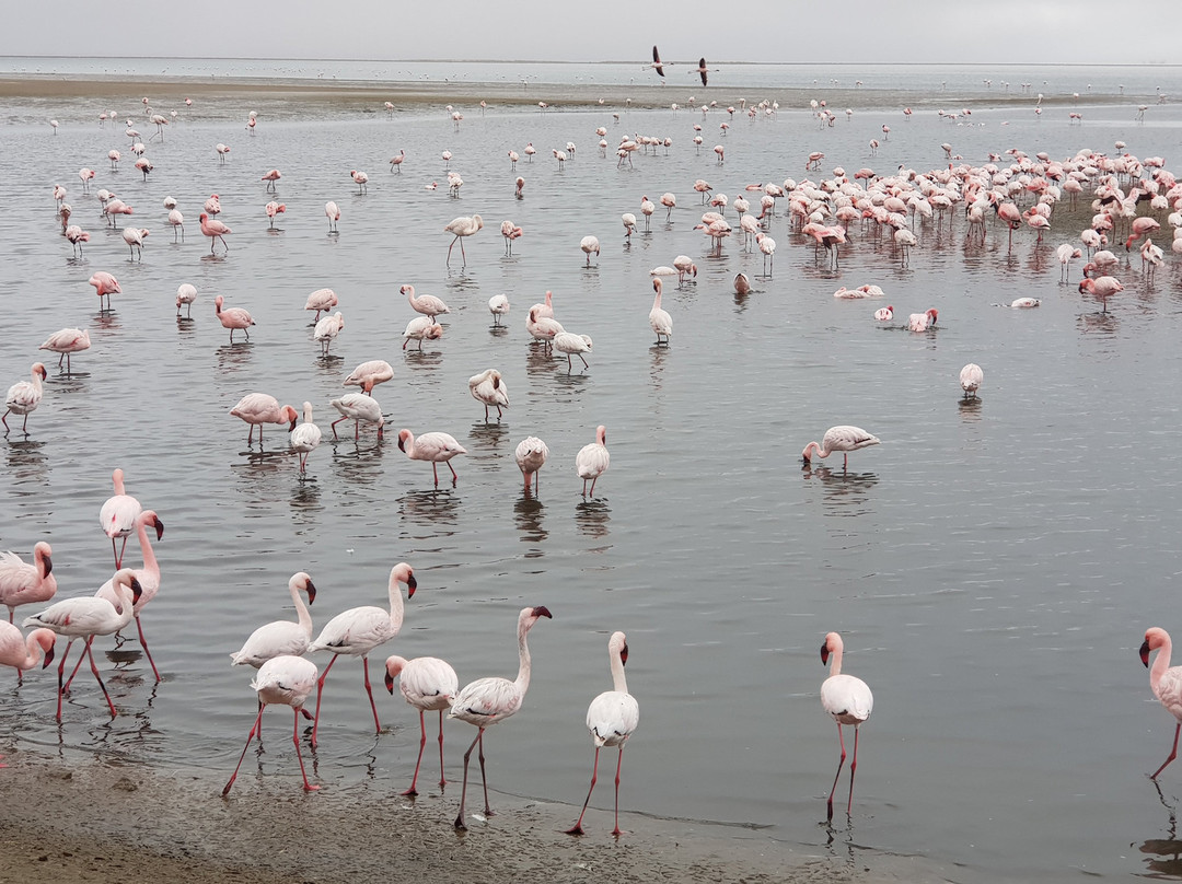 Long Beach Leisure Park-华维斯湾必去景点