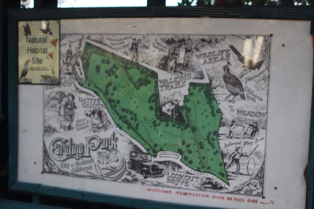 Caroline Park-雷德兰兹必去景点