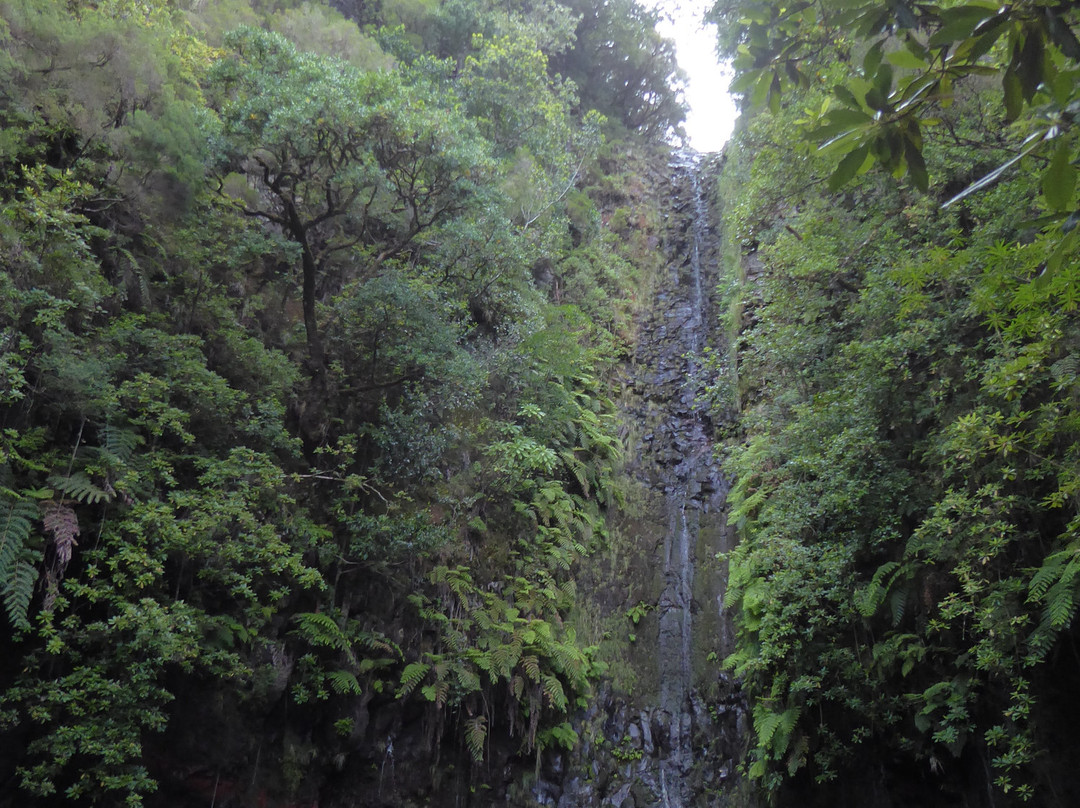 25 Fontes and Cascada da Risco-马德拉群岛必去景点