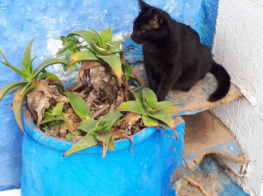 乌达雅堡-拉巴特必去景点