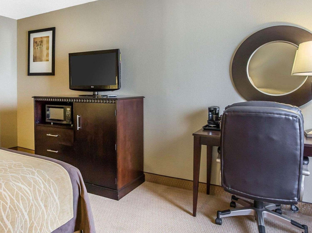 Comfort Inn & Suites Tinley Park IL主图