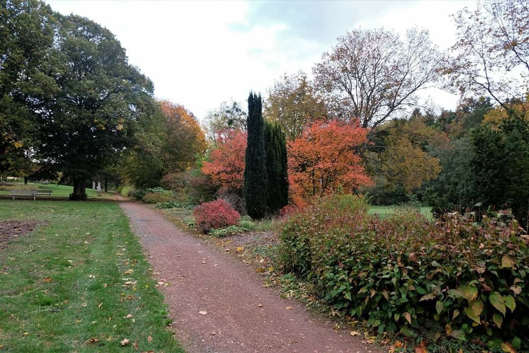 Kurpark-Helmstedt必去景点