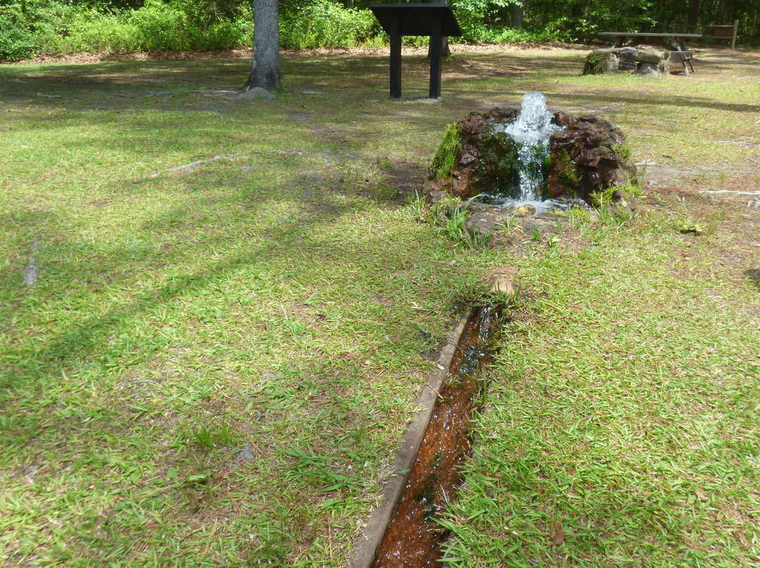 Lee State Park-Bishopville必去景点