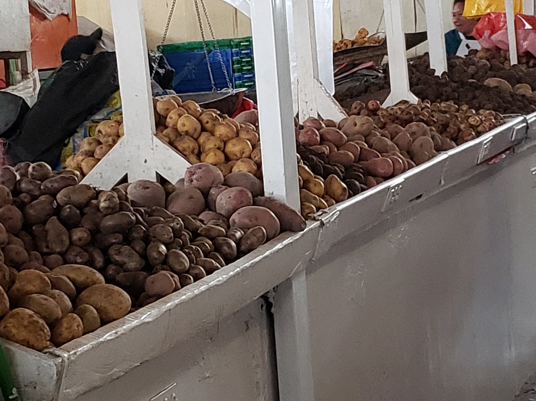 Mercado Central de San Pedro-库斯科必去景点