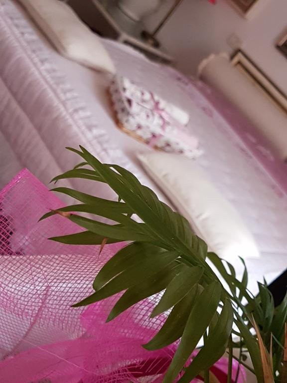Bed and Breakfast La Delice主图