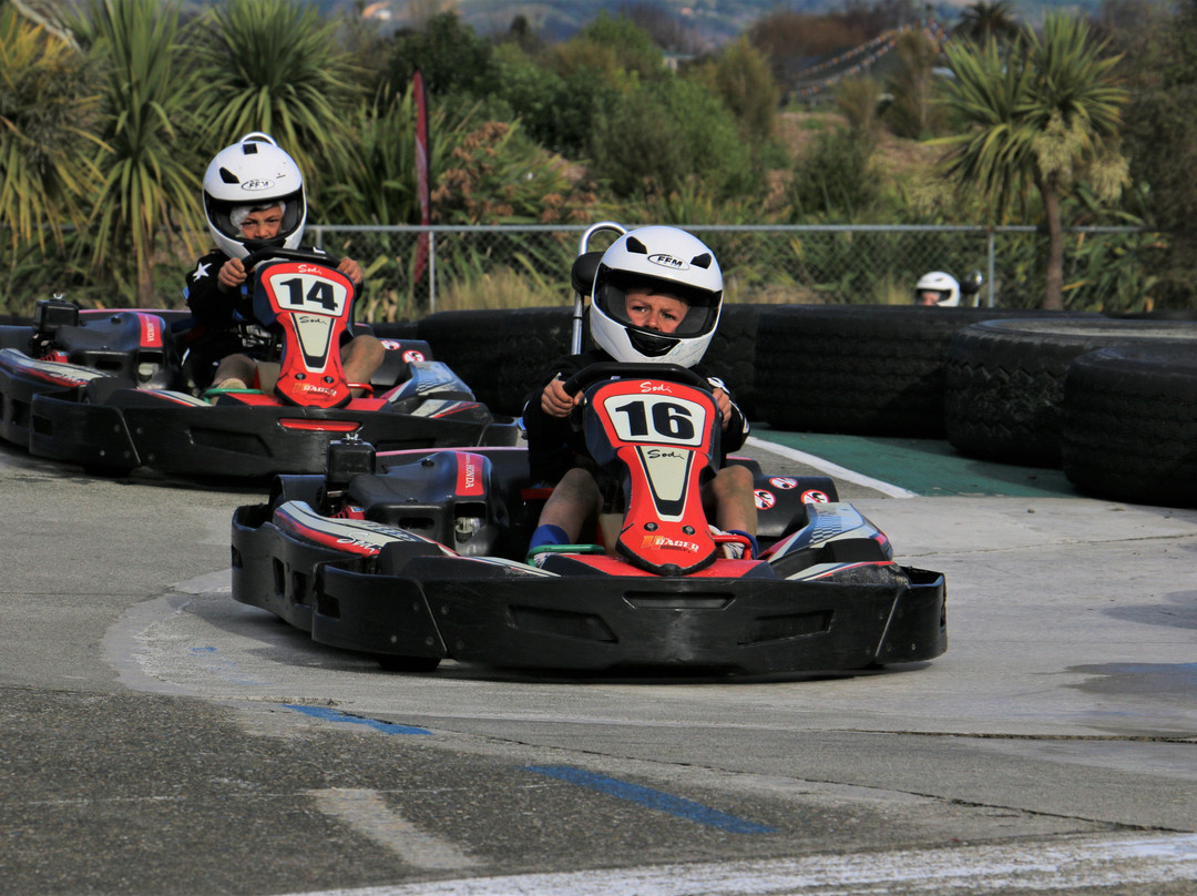 Pro Karts-尼尔森必去景点