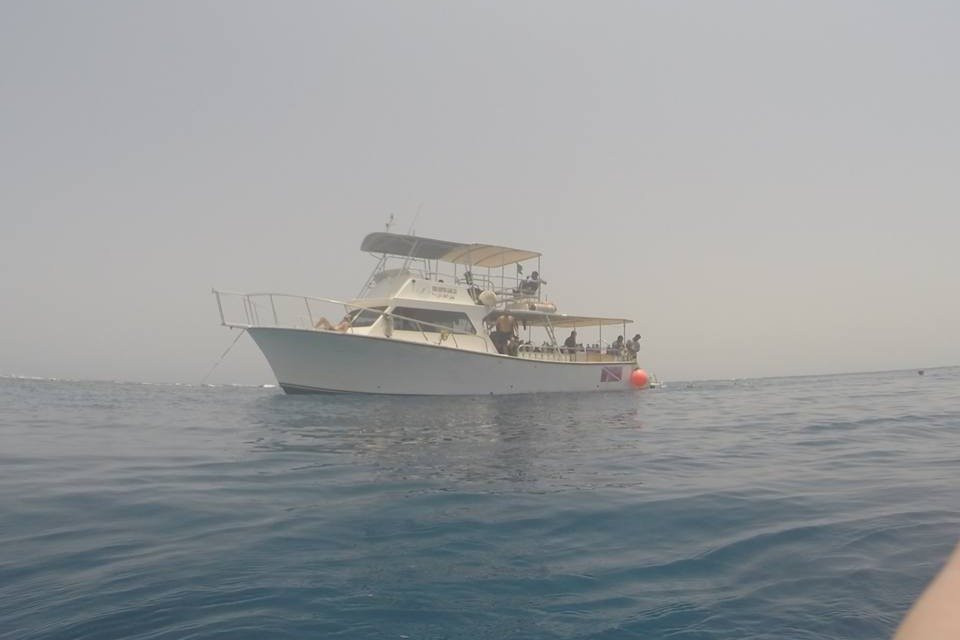 Hope Of Spring Dive-吉达必去景点