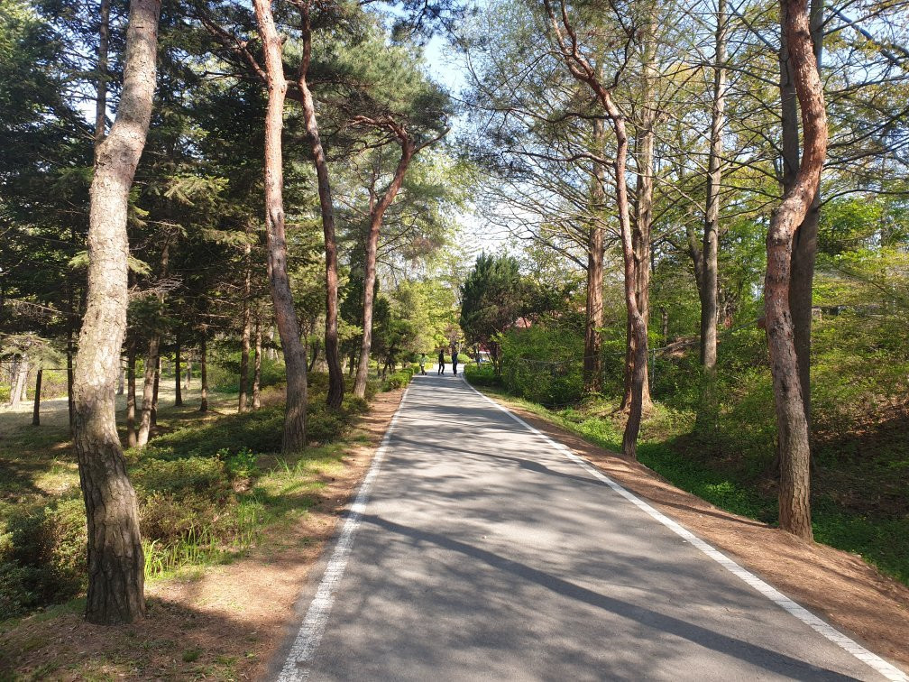 Mulhyanggi Arboretum-乌山市必去景点