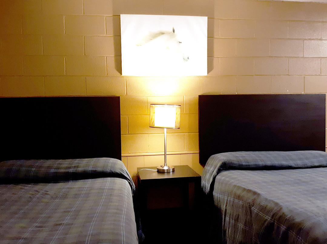 Hotel Richmond Hill ON North主图