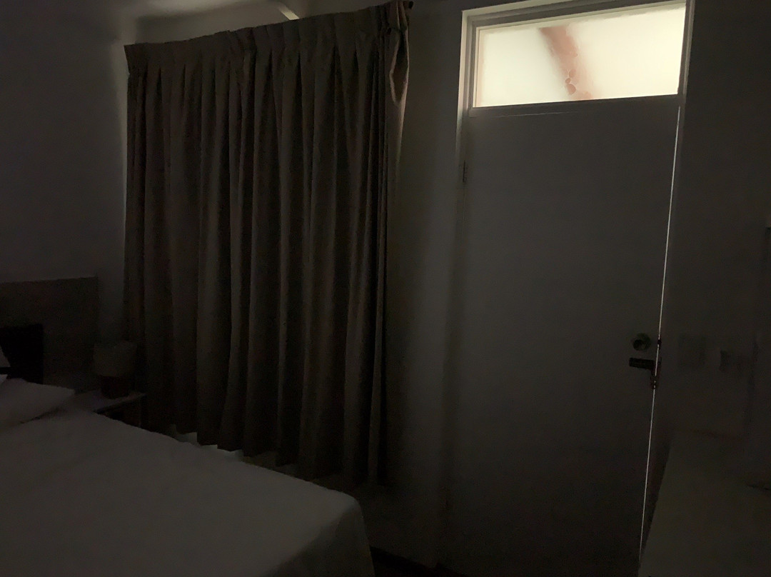 Forster and Wallis Lake Motel主图